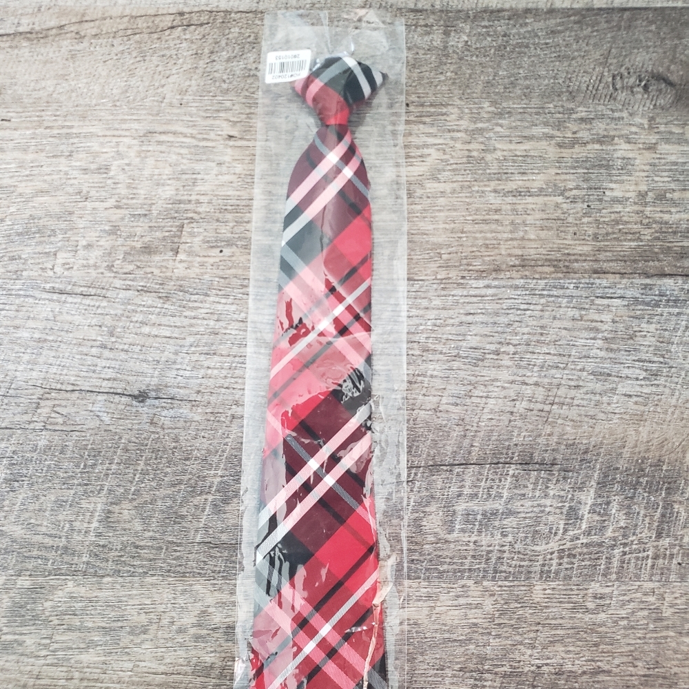 Boys stylish clip on tie